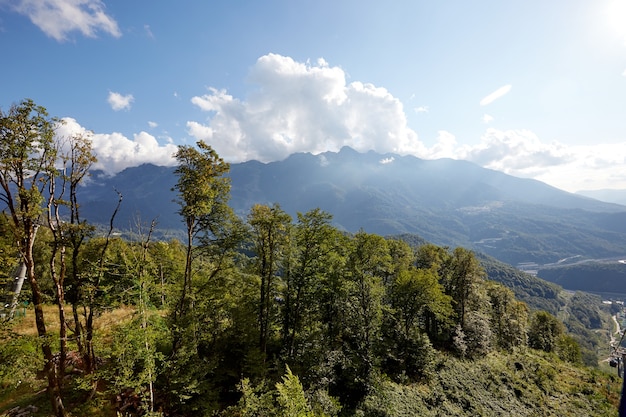 Hermosas nubes y niebla entre el paisaje forestal de montaña