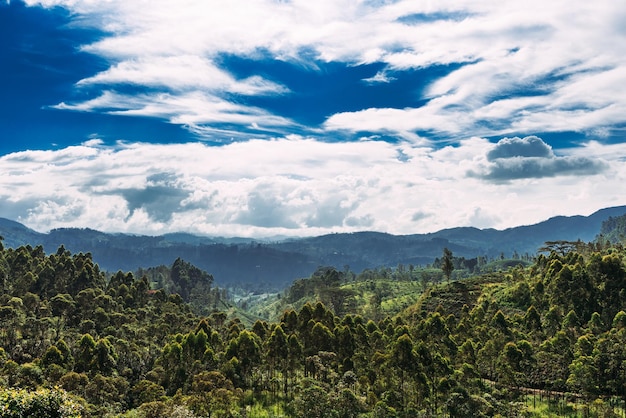 Hermosas nubes sobre el bosque verde. Paisaje asiático. Paisajes de Sri Lanka. Bosque verde bajo un cielo azul. Bosque, montañas, cielo, nubes. Naturaleza virgen. Hermosa naturaleza. Protección de la Naturaleza