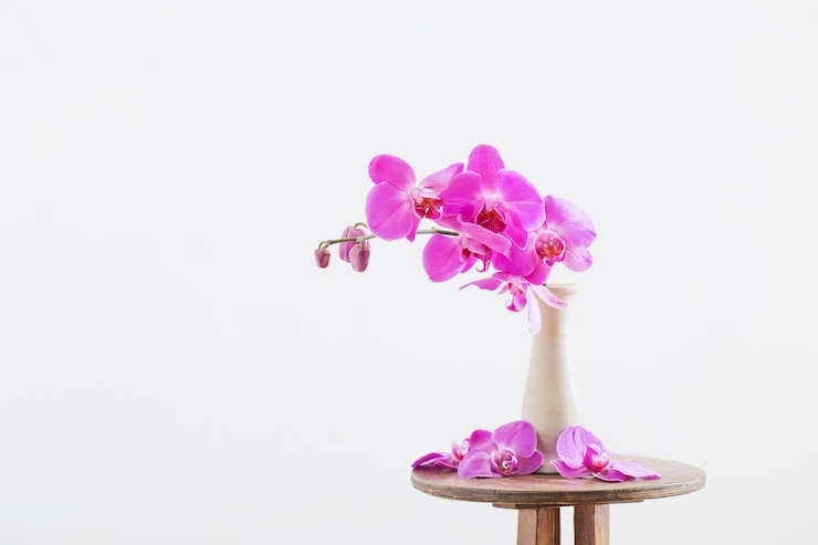 Foto hermosas orquídeas en florero en florero antiguo