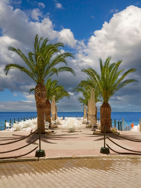 Hermosas palmeras resort griego Loutra Edipsou en la isla Evia Eubea en Grecia