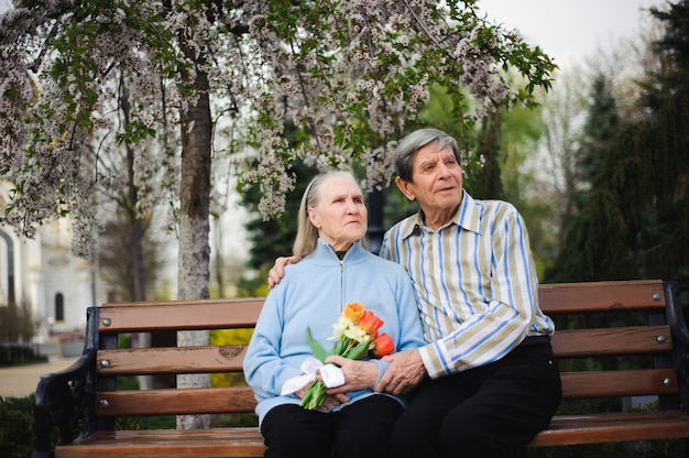 Hermosas personas mayores felices sentados en el parque otoño