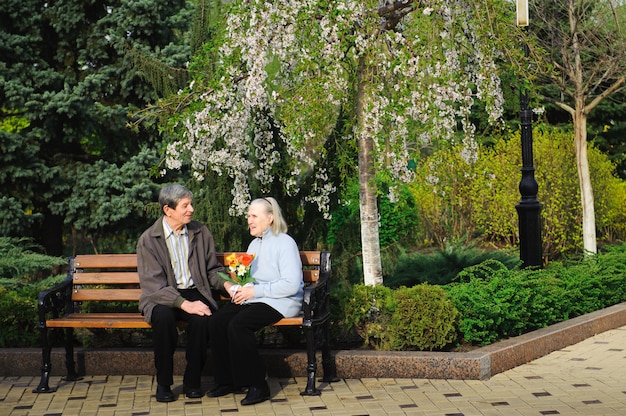 Hermosas personas mayores felices sentados en el parque otoño