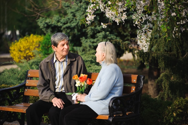 Hermosas personas mayores felices sentados en el parque de otoño.