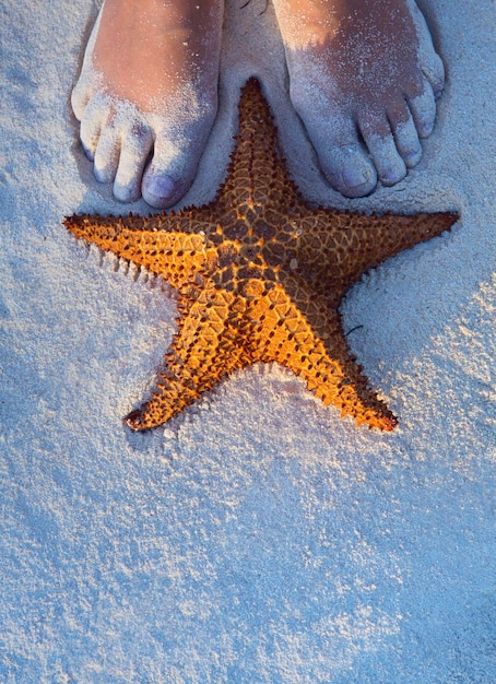 Hermosas piernas femeninas y estrellas de mar en la arena de la playa