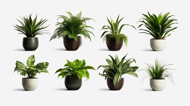 Hermosas plantas en ollas de cerámica aisladas sobre un fondo transparente IA generativa