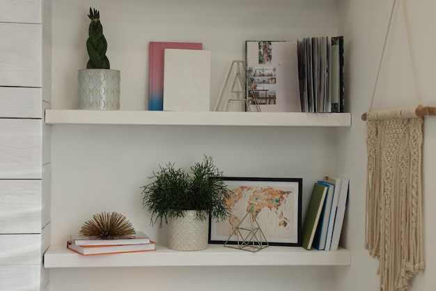 Hermosas plantas verdes y una decoración diferente en los estantes interiores Diseño de interiores