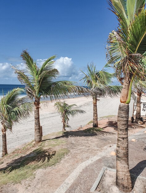 Hermosas playas del mundo