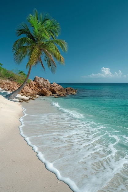 Hermosas playas tropicales con cocoteros