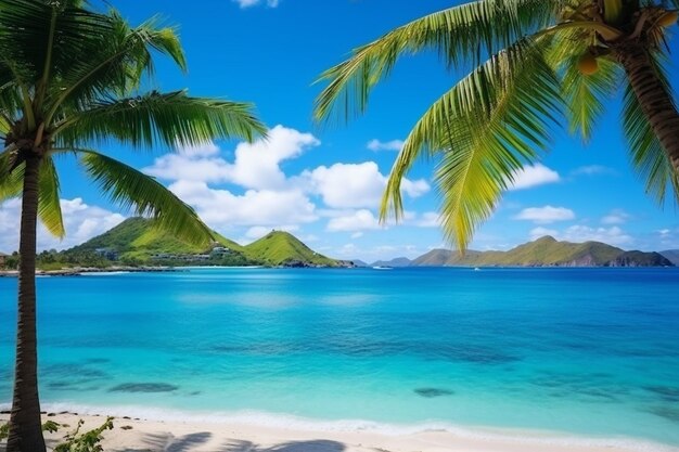 Foto hermosas playas tropicales y mar con palmeras de coco en la isla del paraíso