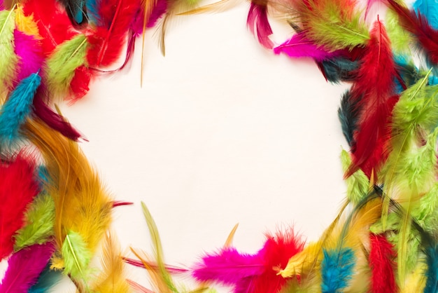 Hermosas plumas de colores. Copia espacio