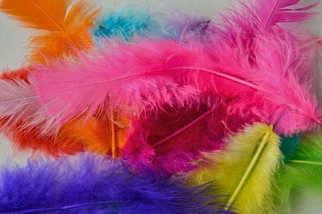 Hermosas plumas multicolores brillantes