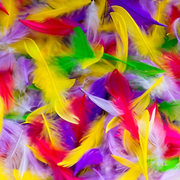 Foto hermosas plumas multicolores textura fondo enfoque selectivo