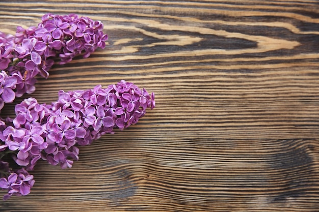 Hermosas ramas de flores lilas sobre fondo de madera