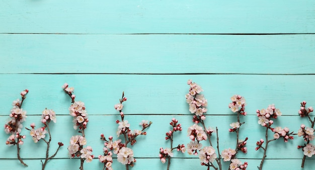 Hermosas ramas con flores rosas sobre fondo de madera azul Concepto de primavera Vista plana superior