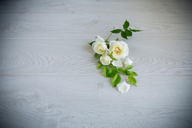 Hermosas rosas blancas de verano en una mesa de madera