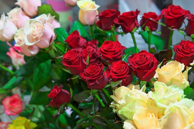 Hermosas rosas de colores a la venta en una floristería.