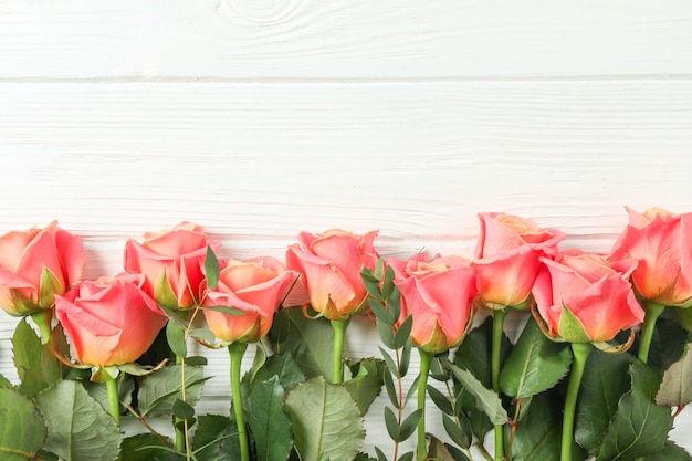 Hermosas rosas naranjas