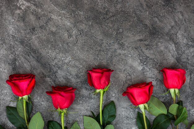 Hermosas rosas rojas y frescas