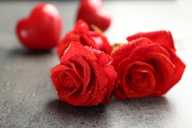 Hermosas rosas rojas sobre fondo gris oscuro