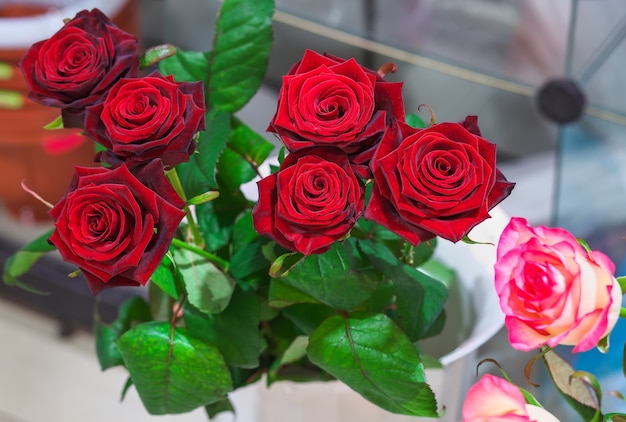 Hermosas rosas rojas a la venta en una floristería.