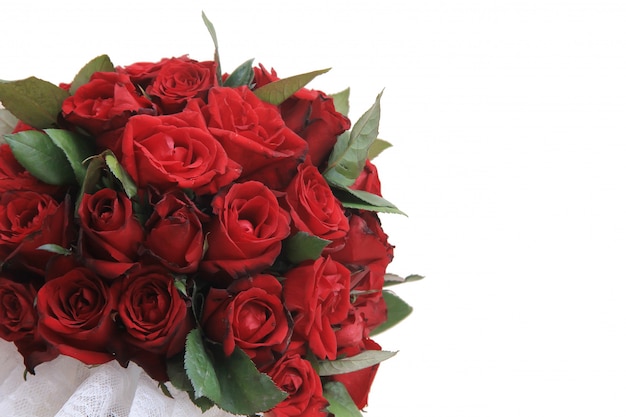 Foto hermosas rosas rojas