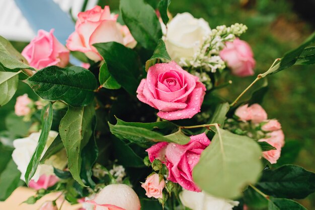 Hermosas rosas rosadas en un entorno verde