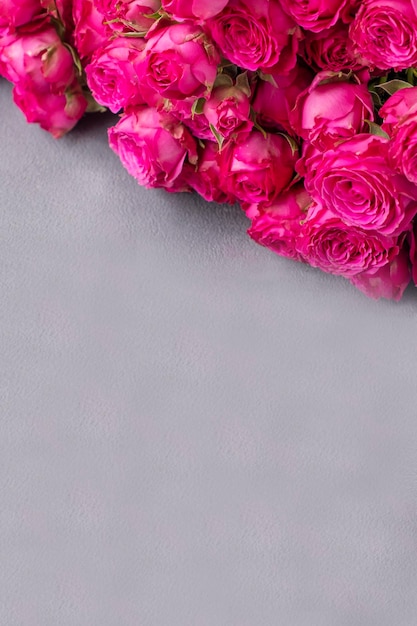 Hermosas rosas rosadas sobre fondo gris con espacio de copia Espacio de texto