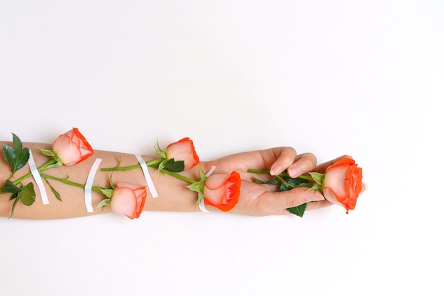 Hermosas rosas rosadas se unen al brazo con yeso de frescura natural y mano de mujer en la luz ...