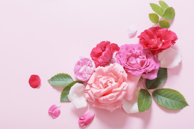 Hermosas rosas sobre fondo de papel rosa