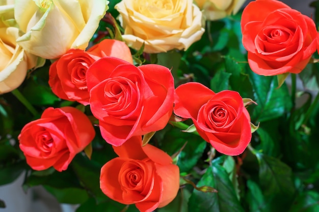 Hermosas rosas a la venta en una floristería.