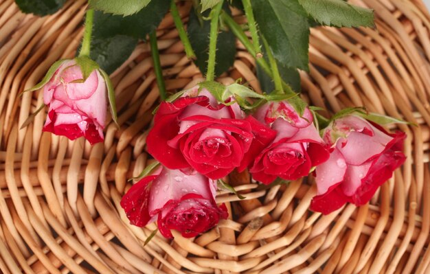 Hermosas rosas vinosas en estera de mimbre closeup