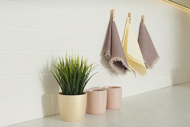 Hermosas tazas de plantas de interior y paños de cocina en el interior