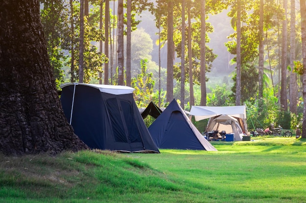 Foto hermosas tiendas de campaña en la hermosa naturaleza entre los árboles y el césped verde para vacaciones relajantes y ecoturismo