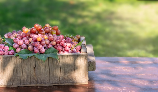 Hermosas uvas frescas crudas y orgánicas