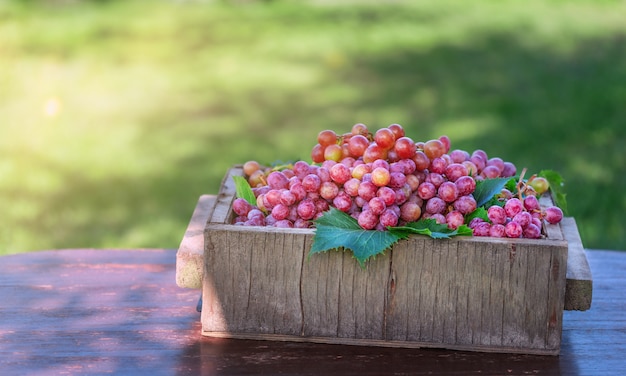 Hermosas uvas frescas crudas y orgánicas