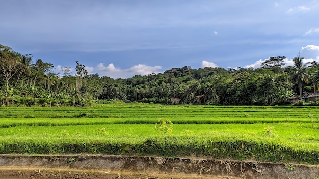 HERMOSAS VISTAS EN INDONESIA