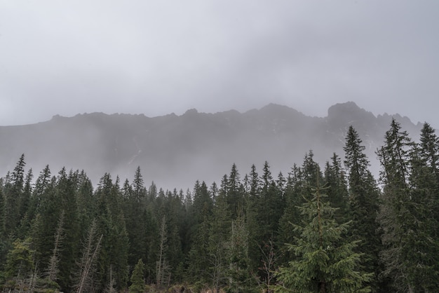 Hermosas vistas de las montañas Tatra en la niebla día de otoño