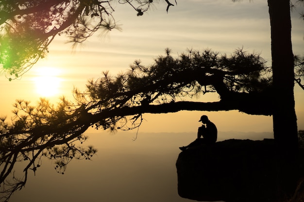 Hermosas vistas de la puesta del sol con reflejan la silueta del árbol de pino y el turista masculino.