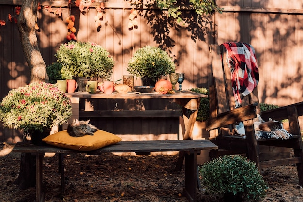 Hermoso y acogedor patio con flores de otoño, verduras y calabazas.