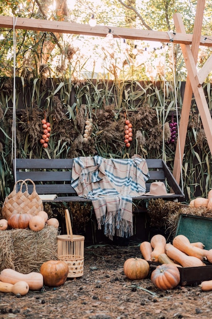 Hermoso y acogedor patio con flores de otoño, verduras y calabazas.