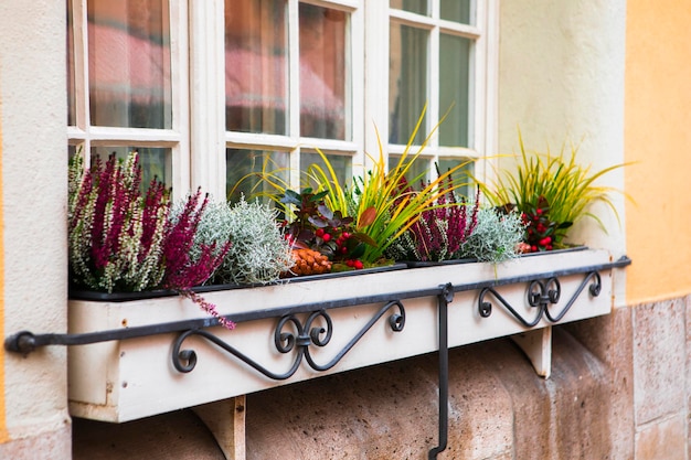 El hermoso alféizar de cada hogar en la ciudad de cuento de hadas de Rothenburg, Alemania