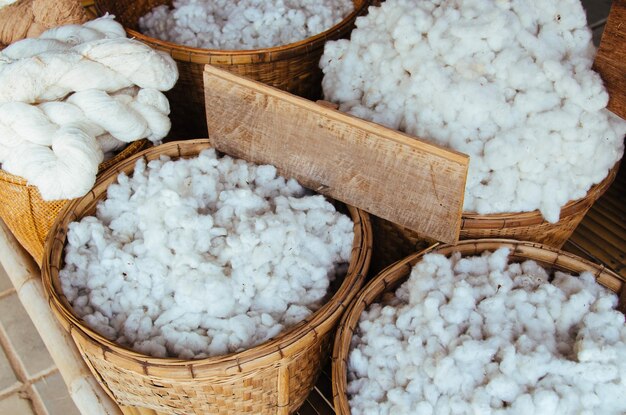 El hermoso algodón brillante con material de ropa cruda de signo en blanco del fondo de la agricultura agrícola