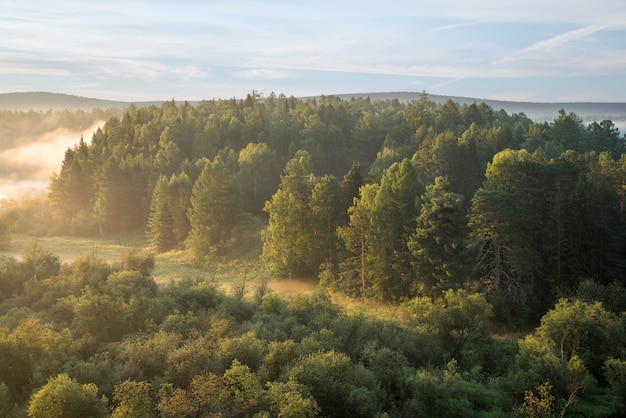 Foto hermoso amanecer brumoso en el parque natural deer springs