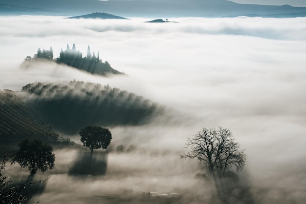 Hermoso amanecer brumoso en Toscana Italia con viñedos y árboles Fondo brumoso natural