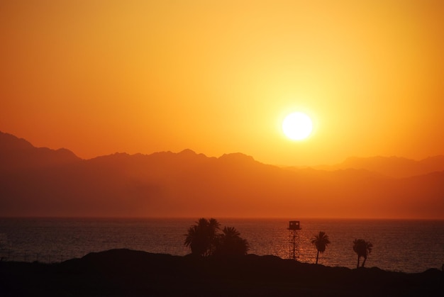 Hermoso amanecer cálido en Egipto con palmeras y montañas