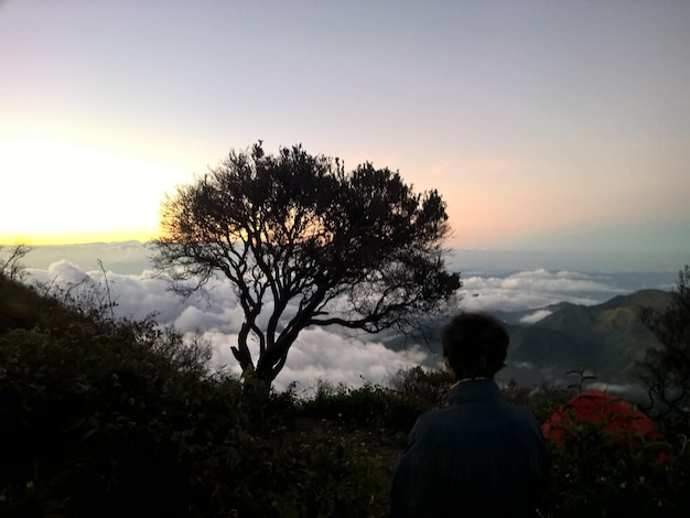 Hermoso amanecer dorado sobre las montañas