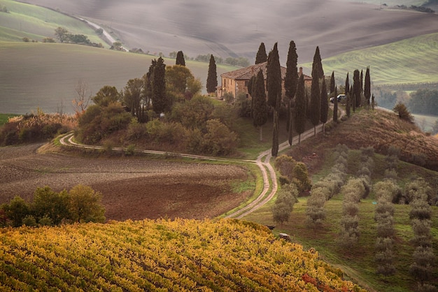 Hermoso amanecer dorado en la Toscana Italia con viñedo Fondo de otoño estacional idílico natural