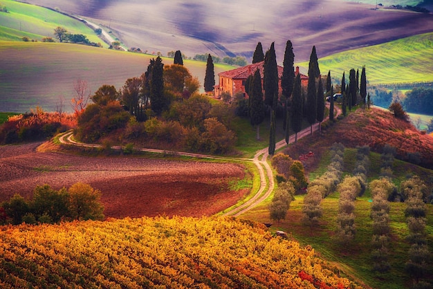 Hermoso amanecer dorado en la Toscana Italia con viñedo Fondo de otoño estacional idílico natural