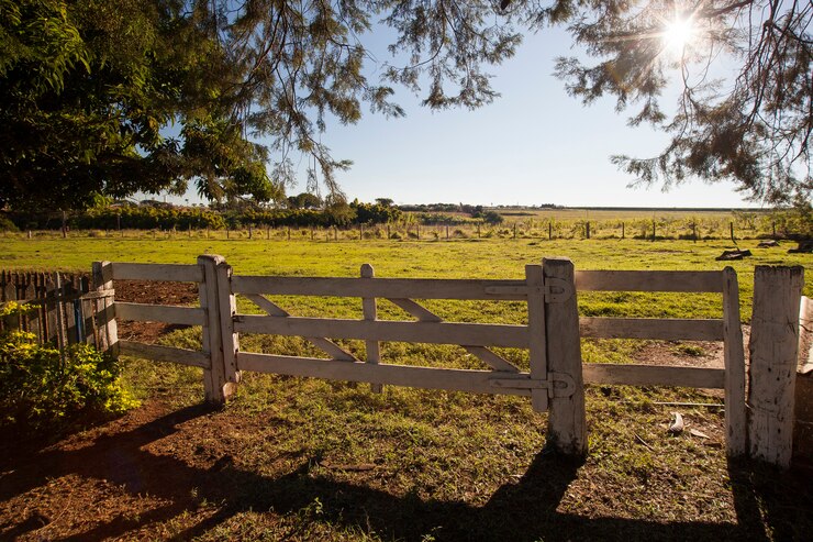 Hermoso amanecer en la granja en Brasil.