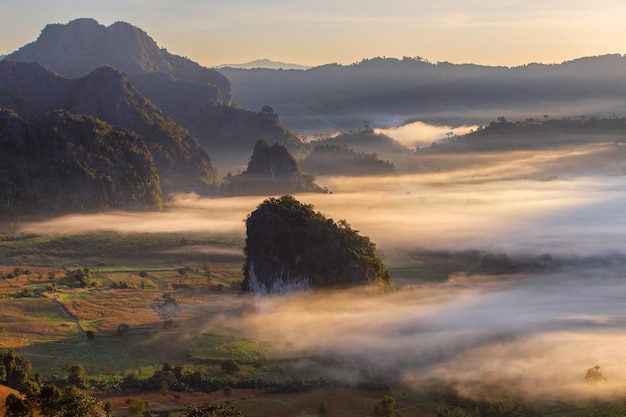 Hermoso amanecer del lugar de viaje con niebla de la mañana